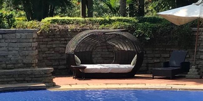 WhatsApp Image 2018-11-06 at 19.57.52 copy